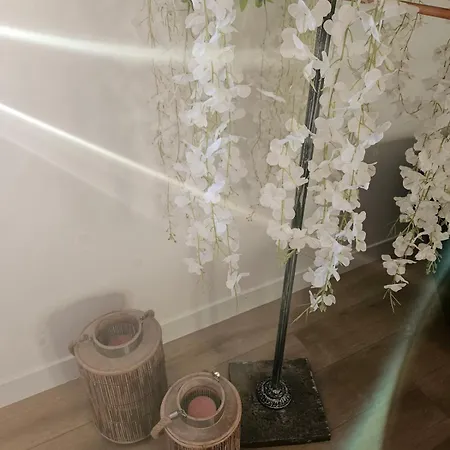 Immersion Foret Enchantee, 70m2 Atypique & Design Aux Portes De Lille Bassee